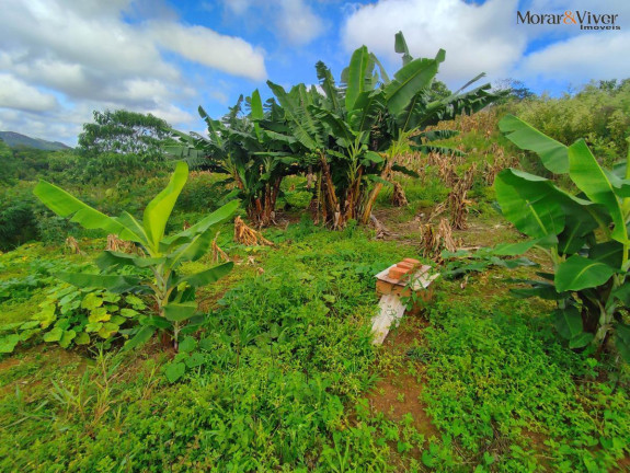 Imagem Chácara à Venda, 3.000 m² em Campestre Da Faxina - São José Dos Pinhais