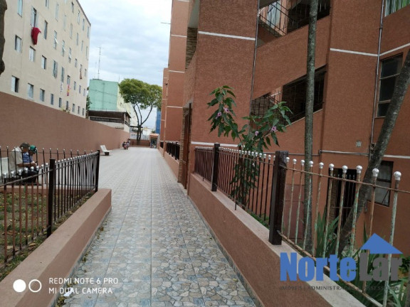 Imagem Apartamento com 3 Quartos à Venda, 56 m² em Conjunto Residencial Elisio Teixeira Leite - São Paulo Imagem Apartamento com 3 Quartos à Venda, 56 m² em Conjunto Residencial Elisio Teixeira Leite - São Paulo