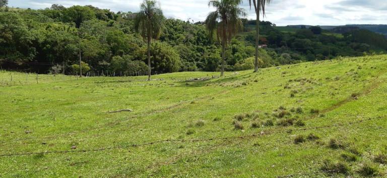 Imagem Chácara à Venda, 13 m² em Rural - Piraju Imagem Chácara à Venda, 13 m² em Rural - Piraju