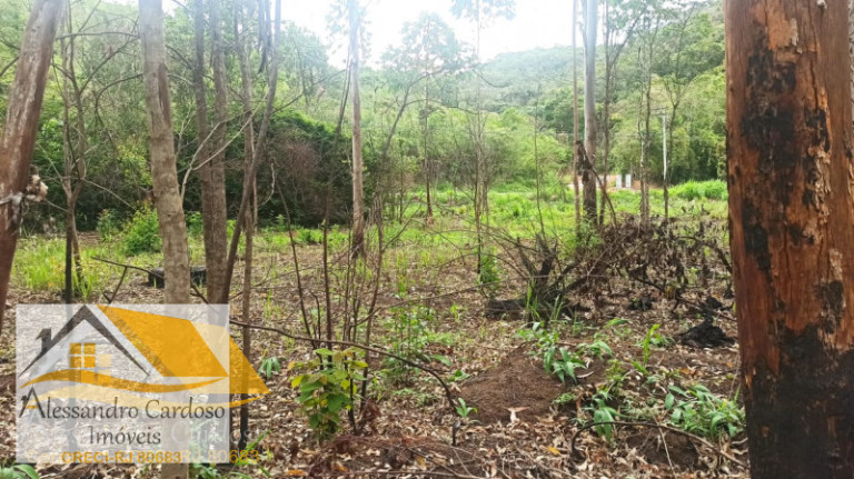 Imagem Terreno à Venda, 18.000 m² em Campo Do Coelho - Nova Friburgo Imagem Terreno à Venda, 18.000 m² em Campo Do Coelho - Nova Friburgo
