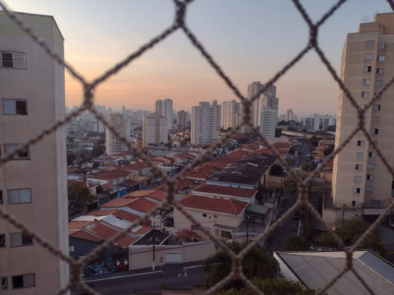 Imagem Apartamento com 3 Quartos à Venda, 67 m² em Vila Moraes - São Paulo