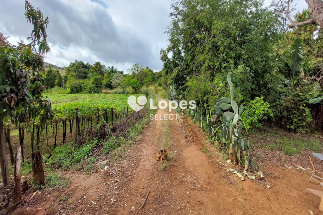 Imóvel com 1 Quarto à Venda, 43.000 m² em Parque Eldorado - Campinas