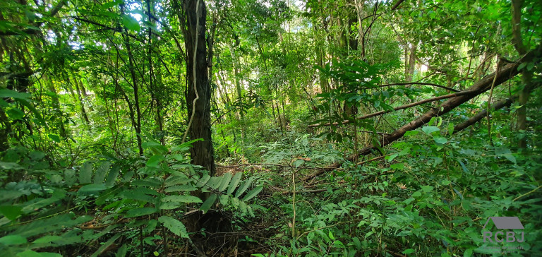 Imagem Terreno à Venda, 1.000 m² em Retiro Do Chalé - Brumadinho Imagem Terreno à Venda, 1.000 m² em Retiro Do Chalé - Brumadinho
