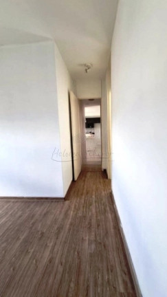 Imagem Apartamento com 3 Quartos à Venda, 67 m² em Tristeza - Porto Alegre Imagem Apartamento com 3 Quartos à Venda, 67 m² em Tristeza - Porto Alegre