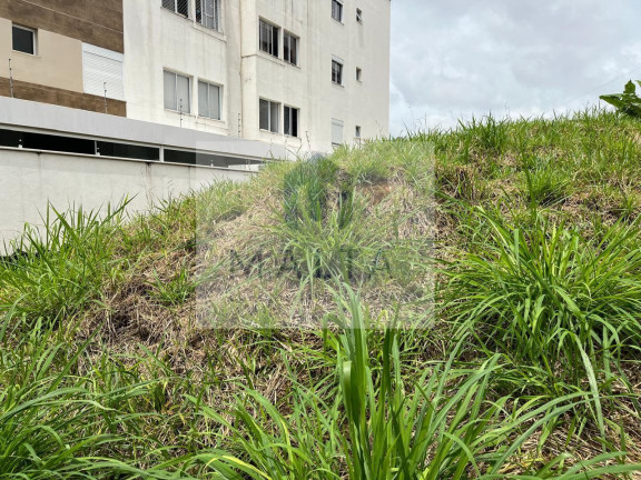 Imagem Terreno à Venda, 362 m² em Fernão Dias - Belo Horizonte Imagem Terreno à Venda, 362 m² em Fernão Dias - Belo Horizonte