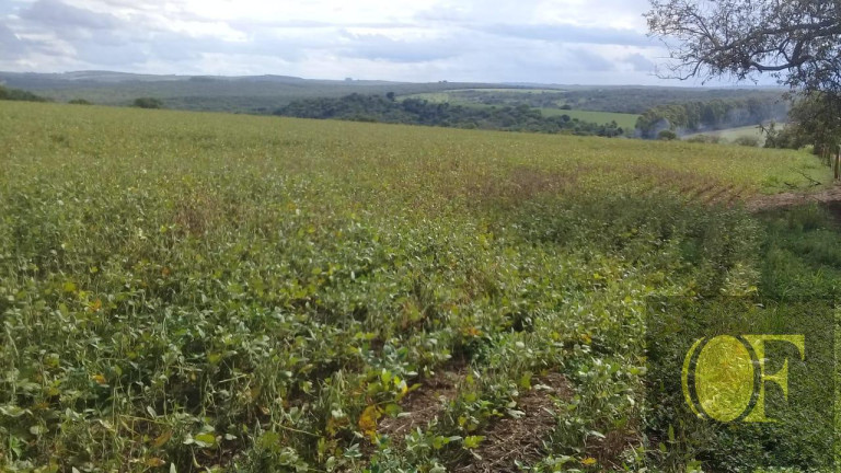 Imagem Fazenda à Venda, 75 m² em Rural - Paranapanema Imagem Fazenda à Venda, 75 m² em Rural - Paranapanema