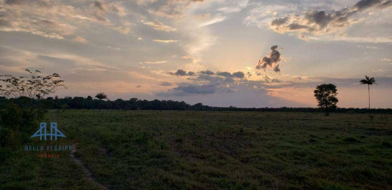 Imagem Fazenda à Venda, 2.190.000 m² em Alça Viaria - Acará Imagem Fazenda à Venda, 2.190.000 m² em Alça Viaria - Acará