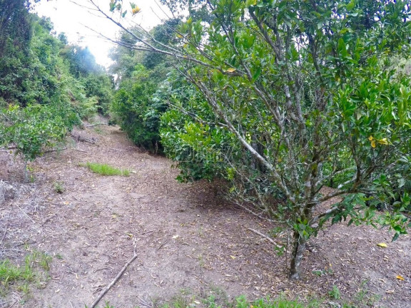Imagem Imóvel com 2 Quartos à Venda,  em São Paulino Do Aracê - Aracê