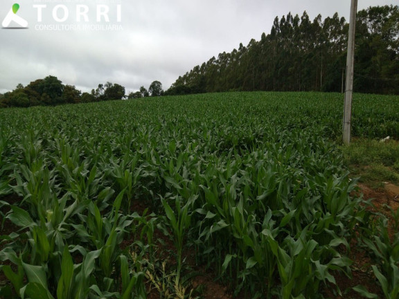 Imagem Imóvel com 1 Quarto à Venda, 117.369 m² em Centro - São Miguel Arcanjo Imagem Imóvel com 1 Quarto à Venda, 117.369 m² em Centro - São Miguel Arcanjo
