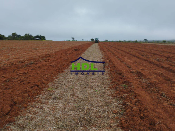 Imagem Fazenda à Venda, 487 m² em Hidrolândia