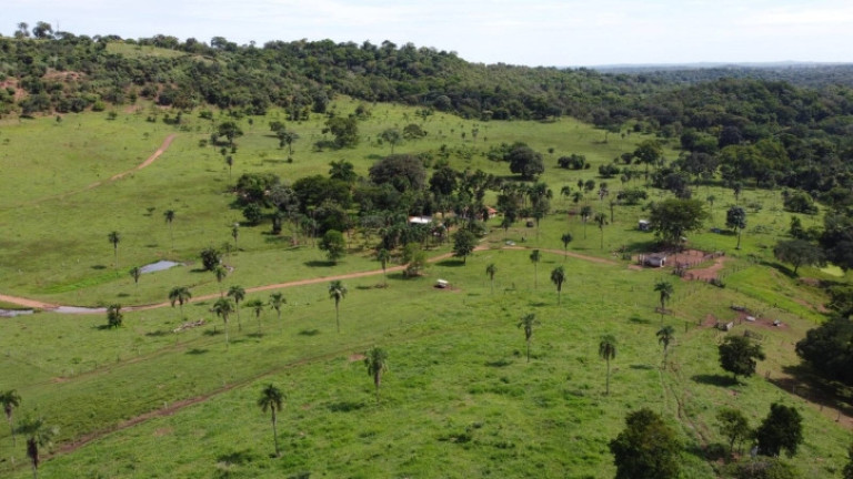 Imagem Fazenda à Venda, 80 m² em Zona Rural - Bom Jardim De Goiás Imagem Fazenda à Venda, 80 m² em Zona Rural - Bom Jardim De Goiás