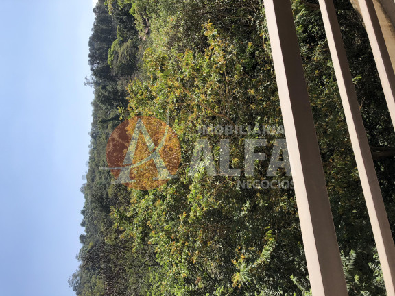 Imagem Apartamento com 2 Quartos à Venda, 50 m² em Parque Rincão - Cotia Imagem Apartamento com 2 Quartos à Venda, 50 m² em Parque Rincão - Cotia