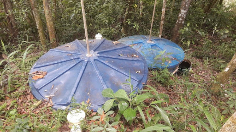 Imagem Terreno em Condomínio à Venda, 5.000 m² em Jardim Petrópolis - Nova Lima Imagem Terreno em Condomínio à Venda, 5.000 m² em Jardim Petrópolis - Nova Lima