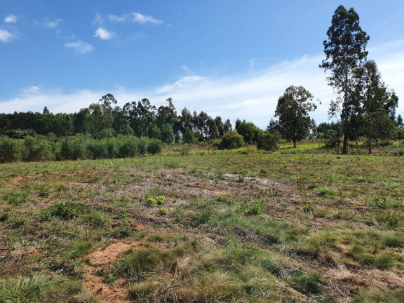Imagem Chácara à Venda, 100 m² em Sanga Funda - Portão Imagem Chácara à Venda, 100 m² em Sanga Funda - Portão