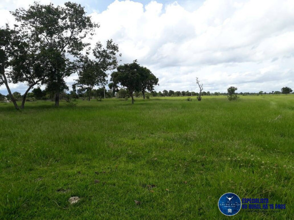 Imagem Fazenda à Venda, 1 m² em Zona Rural - Araguaiana Imagem Fazenda à Venda, 1 m² em Zona Rural - Araguaiana