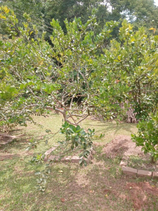 Imagem Chácara com 2 Quartos à Venda, 6.500 m² em Mato Dentro - Jundiaí