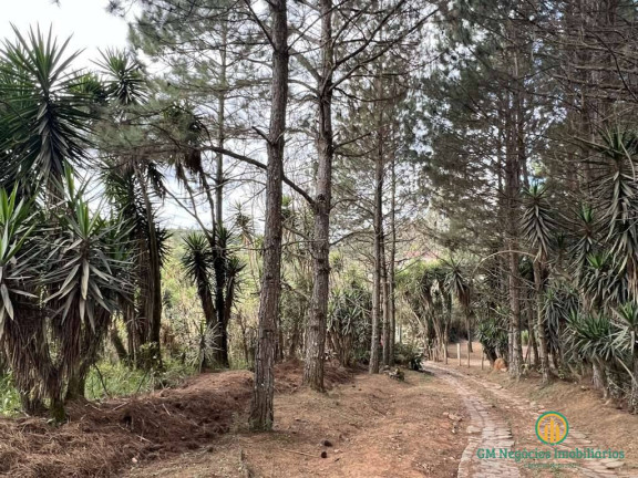Imagem Terreno à Venda, 18 m² em Taboleiro Verde - Cotia