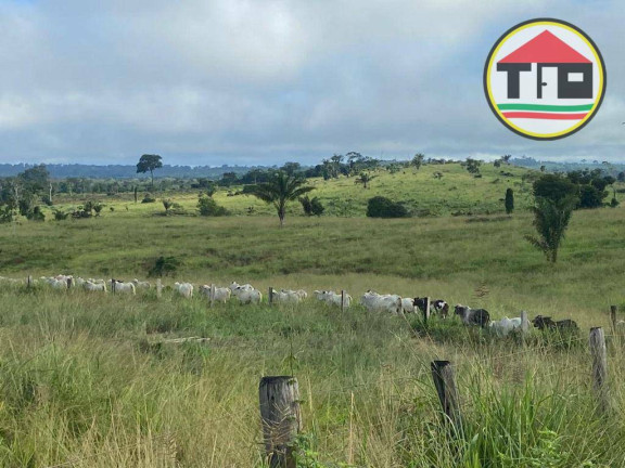 Imagem Fazenda à Venda, 9.196.000 m² em Fazenda - Breu Branco Imagem Fazenda à Venda, 9.196.000 m² em Fazenda - Breu Branco