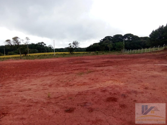 Terreno à Venda, 4.411 m² em Campo Largo Da Roseira - São José Dos Pinhais