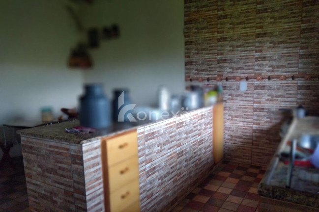 Imagem Chácara com 2 Quartos à Venda, 200 m² em Pinheiro - Paraibuna Imagem Chácara com 2 Quartos à Venda, 200 m² em Pinheiro - Paraibuna