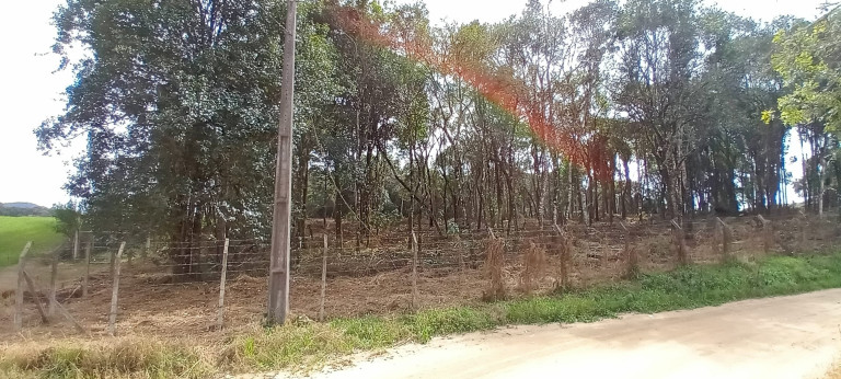 Imagem Chácara com 1 Quarto à Venda, 1 m² em Morro Do Cal - Campo Largo