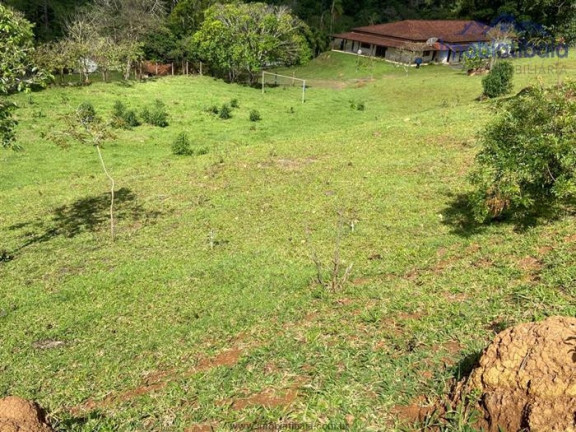Imagem Chácara com 10 Quartos à Venda, 245.000 m² em Centro - Piracaia