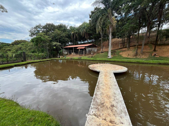 Imagem Chácara com 4 Quartos à Venda, 16 m² em Batatal - Igarapé Imagem Chácara com 4 Quartos à Venda, 16 m² em Batatal - Igarapé