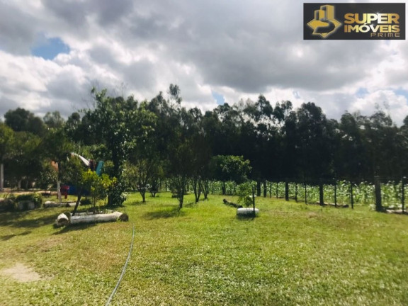 Imagem Imóvel com 7 Quartos à Venda, 120.000 m² em Monte Bonito - Pelotas Imagem Imóvel com 7 Quartos à Venda, 120.000 m² em Monte Bonito - Pelotas