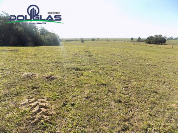 Imagem Chácara à Venda, 8 m² em águas Claras - Viamão