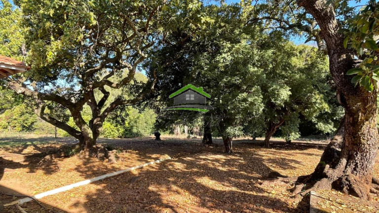 Imagem Fazenda à Venda, 484.000 m² em Centro - Cajuru Imagem Fazenda à Venda, 484.000 m² em Centro - Cajuru