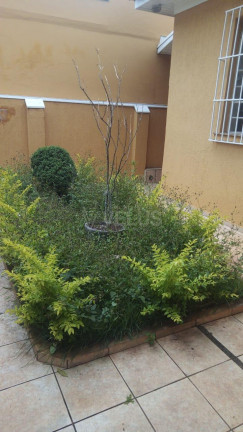 Imagem Casa com 2 Quartos à Venda, 255 m² em Centro - Itapetininga