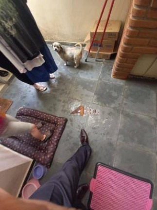 Imagem Sobrado com 3 Quartos à Venda, 153 m² em Penha De França - São Paulo Imagem Sobrado com 3 Quartos à Venda, 153 m² em Penha De França - São Paulo