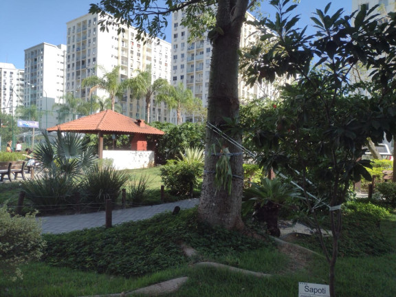 Imagem Apartamento com 2 Quartos à Venda, 55 m² em Barra Da Tijuca - Rio De Janeiro Imagem Apartamento com 2 Quartos à Venda, 55 m² em Barra Da Tijuca - Rio De Janeiro
