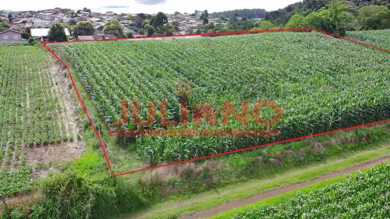 Imagem Terreno à Venda, 5.025 m² em Centenario - São Bento Do Sul Imagem Terreno à Venda, 5.025 m² em Centenario - São Bento Do Sul