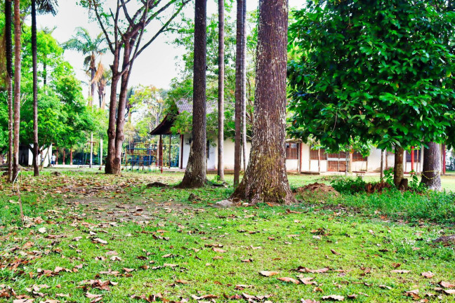 Imagem Terreno à Venda, 48 m² em Flores - Manaus
