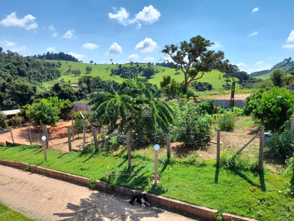 Imagem Imóvel com 6 Quartos à Venda, 2.800 m² em Marambaia (rural) - Bandeira Do Sul Imagem Imóvel com 6 Quartos à Venda, 2.800 m² em Marambaia (rural) - Bandeira Do Sul