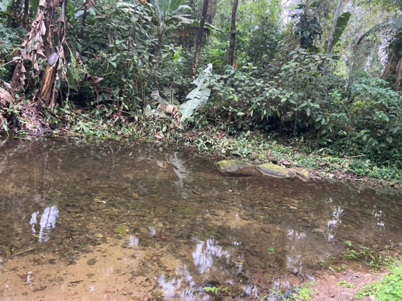 Imagem Imóvel Comercial à Venda, 45 m² em Figueira (pé Da Serra) - Ubatuba