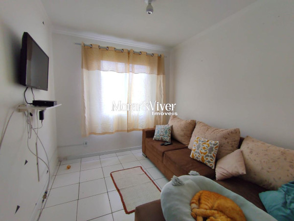 Imagem Apartamento com 3 Quartos à Venda, 55 m² em Afonso Pena - São José Dos Pinhais Imagem Apartamento com 3 Quartos à Venda, 55 m² em Afonso Pena - São José Dos Pinhais