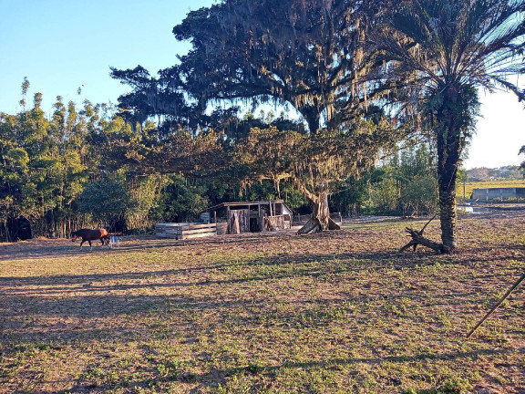 Imagem Casa com 2 Quartos à Venda, 6 m² em águas Claras - Viamão