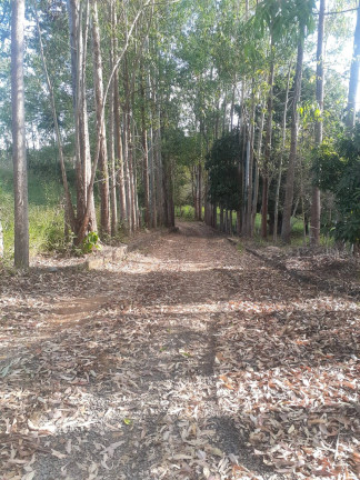 Imagem Chácara com 3 Quartos à Venda, 5 m² em Alexânia Imagem Chácara com 3 Quartos à Venda, 5 m² em Alexânia