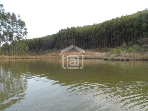 Imagem Imóvel com 5 Quartos à Venda, 19 m² em Taquari - Caldas Imagem Imóvel com 5 Quartos à Venda, 19 m² em Taquari - Caldas