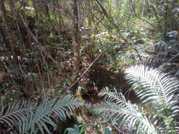 Imagem Imóvel à Venda, 1.000 m² em Moeda - Moeda Imagem Imóvel à Venda, 1.000 m² em Moeda - Moeda