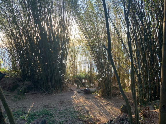 Imagem Terreno à Venda, 1.800 m² em Daniela - Florianópolis Imagem Terreno à Venda, 1.800 m² em Daniela - Florianópolis