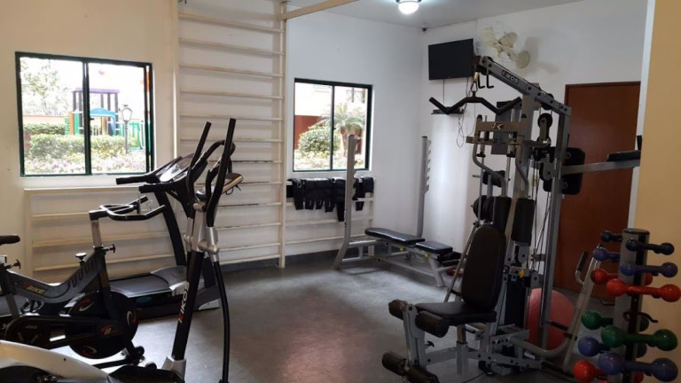Imagem Apartamento com 3 Quartos à Venda, 65 m² em Vila Do Castelo - São Paulo