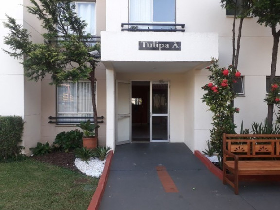 Apartamento com 2 Quartos à Venda, 46 m² em Vila Arriete - São Paulo