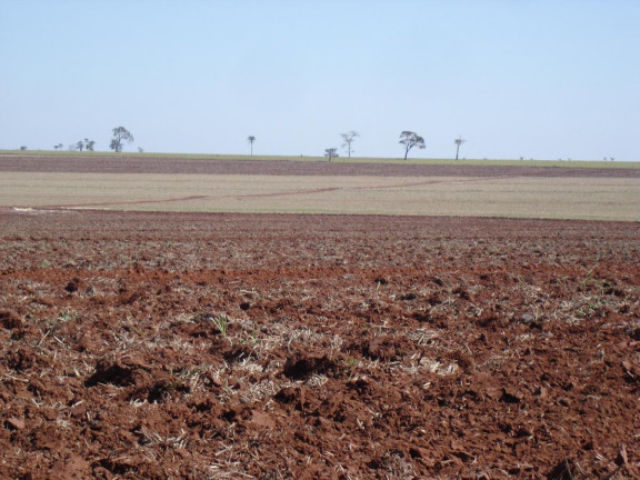 Fazenda à Venda, 3.085 m² em Rural - Assis