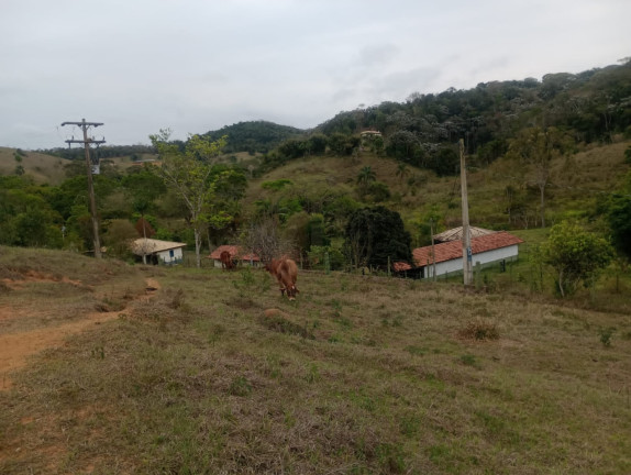Imagem Chácara com 4 Quartos à Venda, 100 m² em Capim D\'agola - Paraibuna
