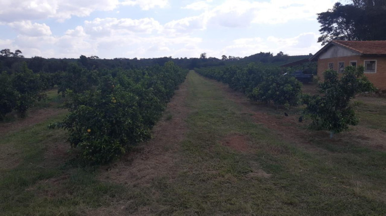 Imagem Fazenda à Venda, 66 m² em Rural - Avaré