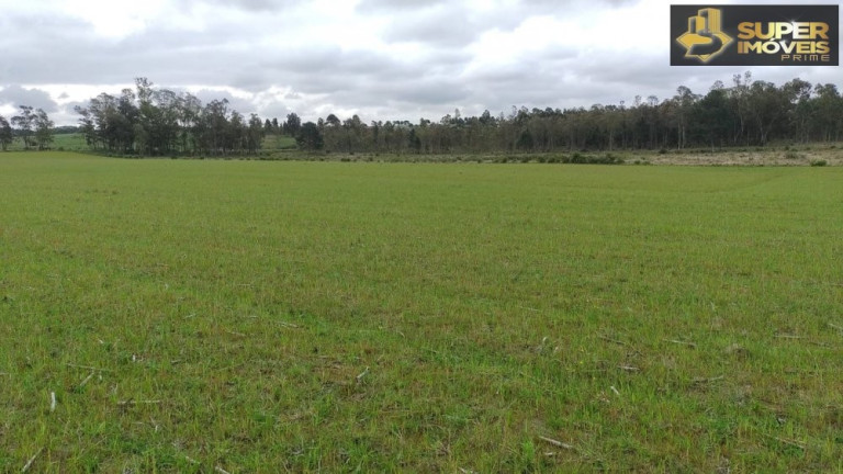 Imagem Imóvel com 3 Quartos à Venda, 660.000 m² em Zona Rural - Capão Do Leão
