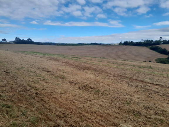 Imagem Fazenda à Venda, 700 m² em São Vicente De Minas Imagem Fazenda à Venda, 700 m² em São Vicente De Minas